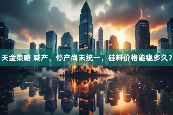 天金策略 减产、停产尚未统一，硅料价格能稳多久？