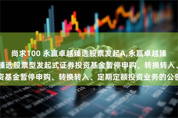 尚求100 永赢卓越臻选股票发起A,永赢卓越臻选股票发起C: 永赢卓越臻选股票型发起式证券投资基金暂停申购、转换转入、定期定额投资业务的公告