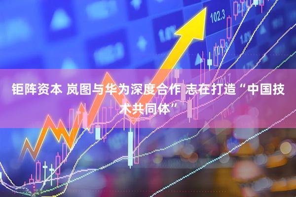 钜阵资本 岚图与华为深度合作 志在打造“中国技术共同体”