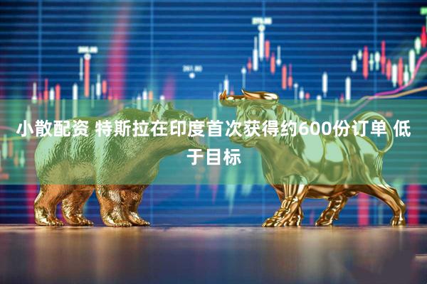 小散配资 特斯拉在印度首次获得约600份订单 低于目标
