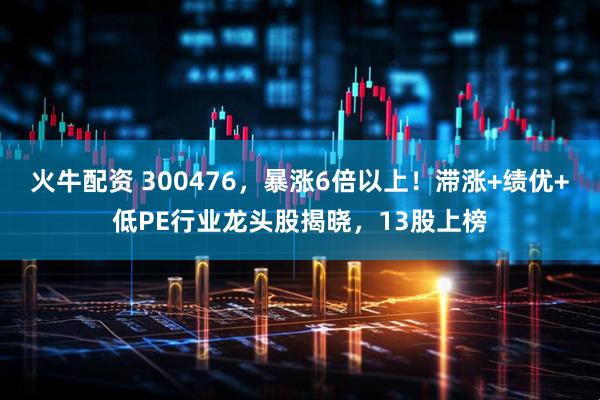 火牛配资 300476，暴涨6倍以上！滞涨+绩优+低PE行业龙头股揭晓，13股上榜