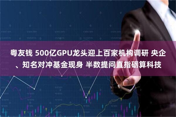粤友钱 500亿GPU龙头迎上百家机构调研 央企、知名对冲基金现身 半数提问直指砺算科技